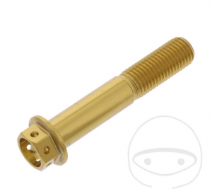 Hexagonal Cap Screw Pro Bolt M10 x 1.25 x 55 mm Aluminum Racing Gold - JM