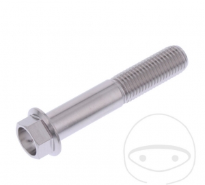 Hexagonal Cap Screw Pro Bolt M10 x 1.25 x 55 mm Stainless Steel A4 - JM