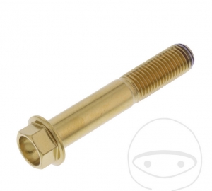 Hexagonal Cap Screw Pro Bolt M10 x 1.25 x 57 mm Stainless Steel A4 Gold - JM