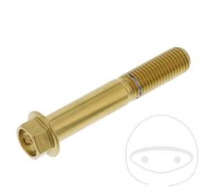 Hexagonal Cap Screw Pro Bolt M10 x 1.25 x 60 mm Stainless Steel A4 Gold - JM