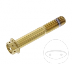 Hexagonal Cap Screw Pro Bolt M10 x 1.25 x 60 mm Stainless Steel A4 Racing Gold - JM