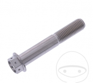 Hexagonal Cap Screw Pro Bolt M10 x 1.25 x 60 mm stainless steel A4 Racing - JM