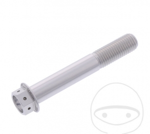 Hexagonal Cap Screw Pro Bolt M10 x 1.25 x 65 mm Aluminum Racing Silver - JM