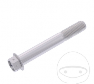 Hexagonal Cap Screw Pro Bolt M10 x 1.25 x 70 mm Aluminum Racing Silver - JM