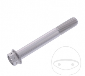 Hexagonal Cap Screw Pro Bolt M10 x 1.25 x 75 mm Aluminum Racing Silver - JM