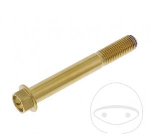 Hexagonal Cap Screw Pro Bolt M10 x 1.25 x 75 mm Stainless Steel A4 Gold - JM