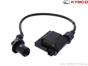 Induction coil - Kymco People 200 S i ('08-'15) - Kymco