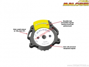 Interne ontstekingsrotor MHR Team II (5517975) - Aprilia SR50 Factory H2O 2T E2 '04-'09 (Piaggio) - Malossi