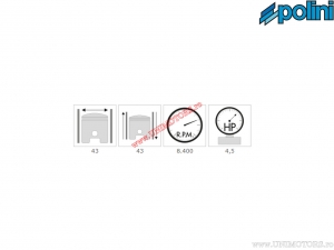 Juego de cilindro (diámetro 43mm / 63cc) - 1400133/10 - Polini