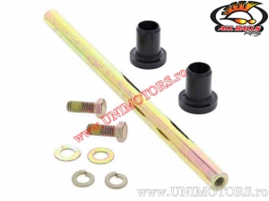 Kit boccole braccio inferiore anteriore Polaris ACE 325 / Sportsman 325 / Hawkeye 325 / Sportsman 570 / Sportsman 500 - All Ball