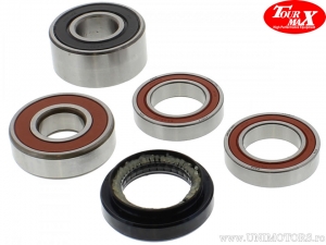 Kit Cuscinetti e Guarnizioni Olio Ruota Posteriore - Honda ST 1300 A Pan European ABS CBS / ST 1300 Pan European CBS - TourMax