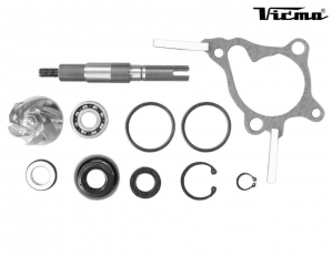 Kit de bomba de agua - Honda FES Pantheon 250cc / FES Foresight 250cc - Vicma