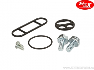 Kit de reparação de válvula de combustível - Kawasaki KLX 250 / KLX 300 / KVF 300 / KX 125 / KX 250 / KX 80 / VN 1500 - Tour