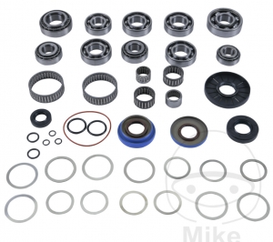 Kit de reparación completo del diferencial - Polaris RZR 800 EFI 4WD - All Balls