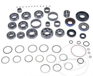 Kit de reparación completo del diferencial - Polaris RZR 800 S HO EFI 4WD - All Balls