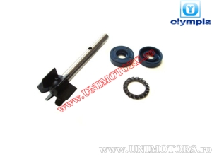 Kit de reparación de bomba de agua - Aprilia Leonardo 125cc/150cc 4T (hasta el año 2000) - (Olympia)