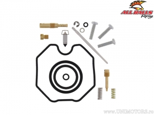 Kit de reparación de carburador - Arctic Cat 250 2x4 / 250DVX 2x4 ('06-'07) - All Balls