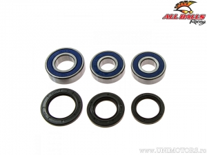 Kit de rolamentos e retentores da roda traseira - Triumph Daytona 675 / Street Triple / Thruxton 1200 / Tiger 800 / TT600 - All 