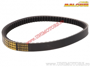 Malossi X-Kevlar Transmission Belt - Kymco Agility / Like / Movie / People / People S / Super 8 / Vivio - 125/150/200 4T