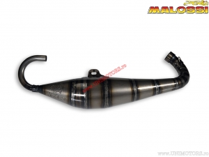 Naked Exhaust System (3216847B) - Malossi