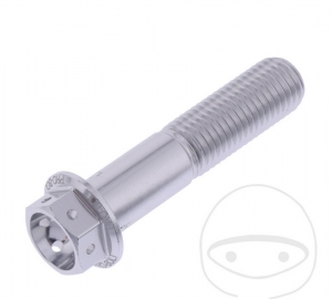 Parafuso cap hexagonal Pro Bolt M10 x 1.25 x 45 mm alumínio prateado para motocicletas de corrida - JM