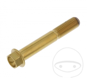 Parafuso com tampa hexagonal Pro Bolt M10 x 1.25 x 65 mm em aço inoxidável A4 dourado - JM