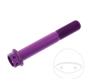 Parafuso hexagonal Pro Bolt M10 x 1.25 x 65 mm em alumínio na cor violeta para motocicletas de corrida - JM