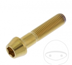 Parafuso tampa cônica Pro Bolt M10 x 1.25 x 45 mm aço inoxidável A4 dourado - JM