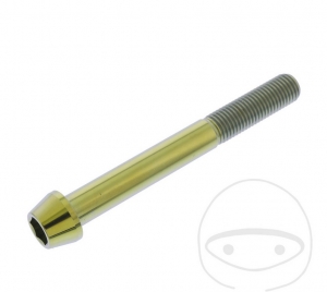 Parafuso tampa cônica redonda Pro Bolt M10 x 1.25 x 85 mm em aço inoxidável A4 dourado - JM