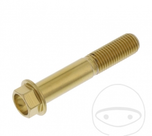 Parafuso tampa hexagonal Pro Bolt M10 x 1.25 x 55 mm inox A4 dourado - JM