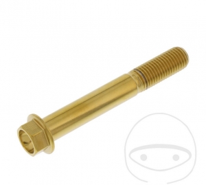 Parafuso tampa hexagonal Pro Bolt M10 x 1.25 x 70 mm inox A4 dourado - JM