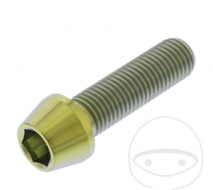 Parafuso tampa redonda cônica Pro Bolt M10 x 1.25 x 35 mm em aço inoxidável A4 dourado - JM