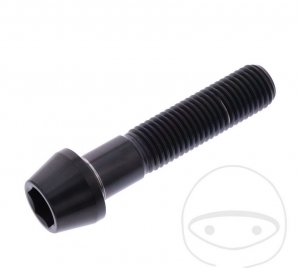 Parafuso tampa redonda cônica Pro Bolt M10 x 1.25 x 45 mm aço inoxidável A4 preto - JM