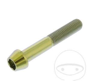 Parafuso tampa redonda cônica Pro Bolt M10 x 1.25 x 60 mm aço inoxidável A4 dourado - JM