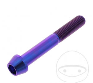 Parafuso tampa redonda cônica Pro Bolt M10 x 1.25 x 70 mm aço inoxidável A4 violeta - JM