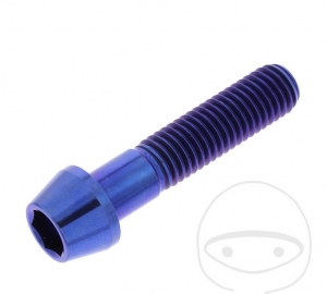 Parafuso tampa redonda cônica Pro Bolt M10 x 1.50 x 45 mm aço inoxidável A4 azul - JM