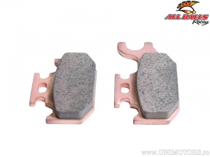 Pastillas de freno traseras derechas (sinterizadas) - Can-Am DS650 / Outlander 800XMR / Yamaha YFM45FX Wolverine 450 4x4 - All B