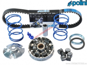 Polini Hi-Speed Variator Kit - Aprilia SR 50 R / Gilera Runner / Runner Purejet / Piaggio NRG / NRG Purejet / Typhoon - 50 2T