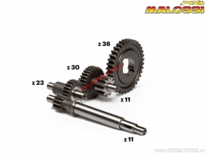 Primary transmission HTQ long ratio (9:1) - Piaggio Boss 50 Air 2T ('88-'89) / Grillo A.E. 50 Air 2T ('90-'96) - Malossi