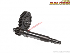 Primary transmission HTQ Z 14/39 (coupling diameter 17mm) - Gilera Storm 50 Air 2T ('94-'96) - Malossi