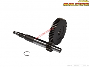 Primary transmission HTQ Z 14/48 - Aprilia Scarabeo Classic 50 Air 2T E4 '18-'20 (Piaggio) - Malossi