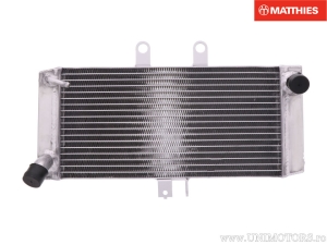 Radiator - Suzuki GSF 650 S Bandit - A Bandit ABS - Bandit - SA Bandit ABS - SU Bandit - SUA Bandit ABS - U Bandit - JM