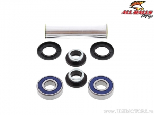 Rear Wheel Bearing Kit Reinforced - Husaberg 390FE / Husqvarna FC250 (Euro) / KTM EGS125 / Yamaha FZ150 (SA) - All Balls