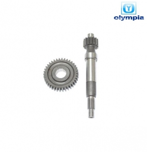 Rear Wheel Gear Set Z15/38 - Piaggio Free / Typhoon / Zip Fast Rider / Quartz 2T 50cc - Olympia