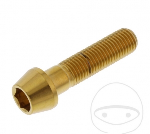 Ronde conische kapbout Pro Bolt M10 x 1.25 x 40 mm roestvrij staal A4 goud - JM