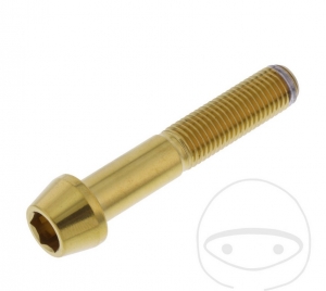 Ronde conische Pro Bolt M10 x 1.25 x 55 mm inox A4 gouden schroef