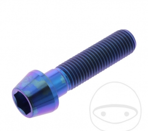 Round conical cap screw Pro Bolt M10 x 1.25 x 40 mm stainless steel A4 violet - JM