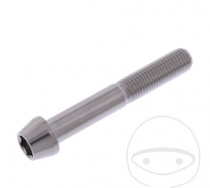 Round conical cap screw Pro Bolt M10 x 1.25 x 65 mm stainless steel A4 - JM