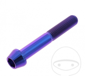 Round conical cap screw Pro Bolt M10 x 1.25 x 65 mm stainless steel A4 violet - JM