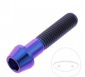 Round conical cap screw Pro Bolt M10 x 1.50 x 45 mm stainless steel A4 violet - JM